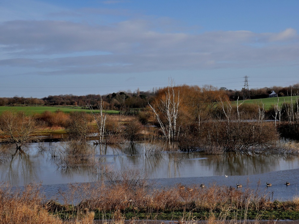 Photograph of Rabbit Ings Country Park,  Royston