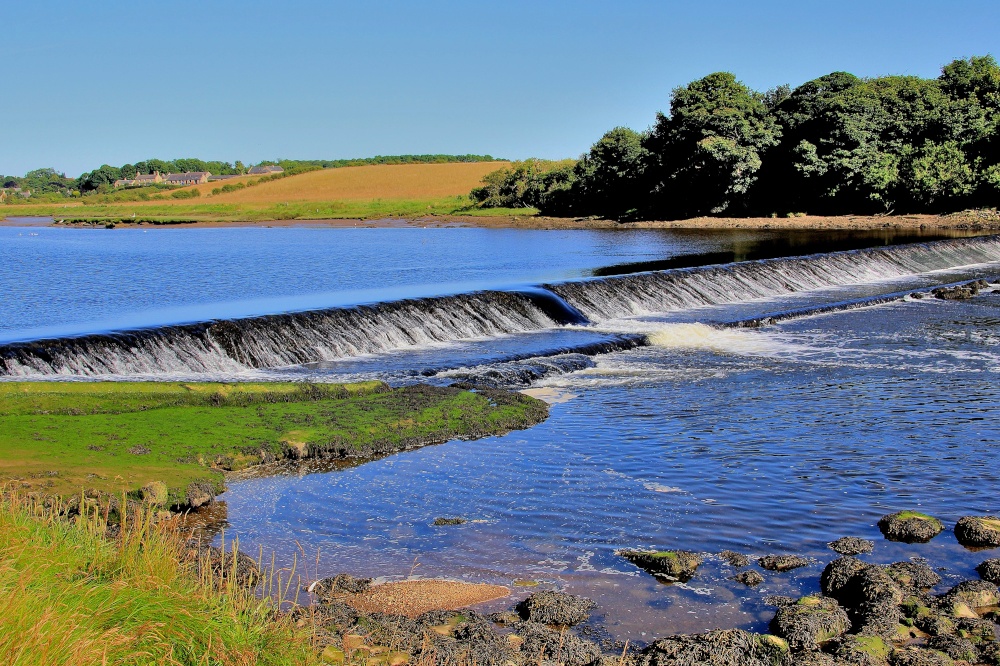 Photograph of River Coquet, Warkworth