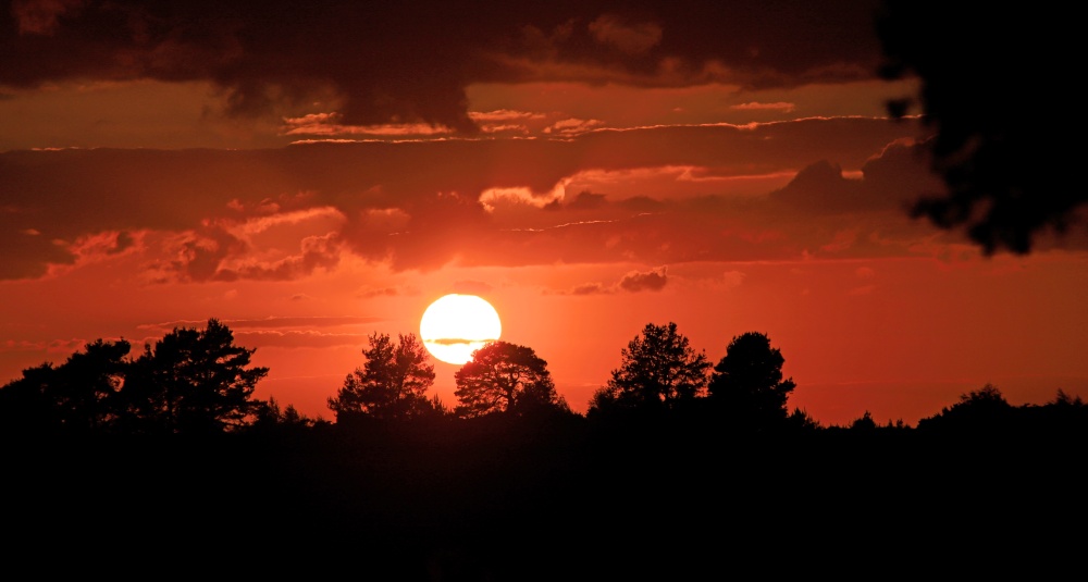 Ashdown Forest Sunset photo by David Brooker