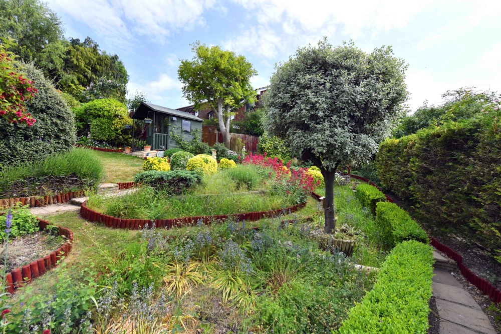 Locked in and nowhere to go except my garden in Rochester