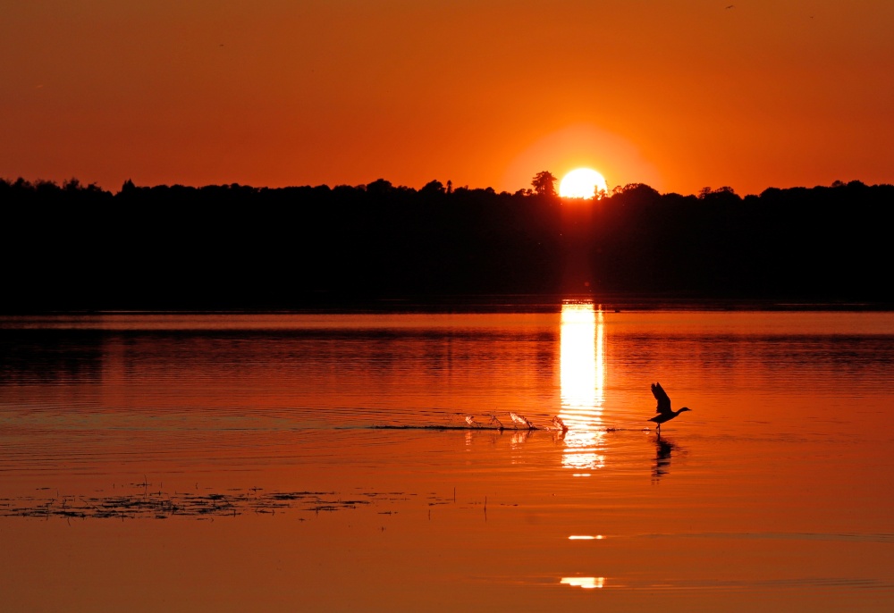 Sunset over Bewl Water, near Wadhurst, East Sussex photo by David Brooker