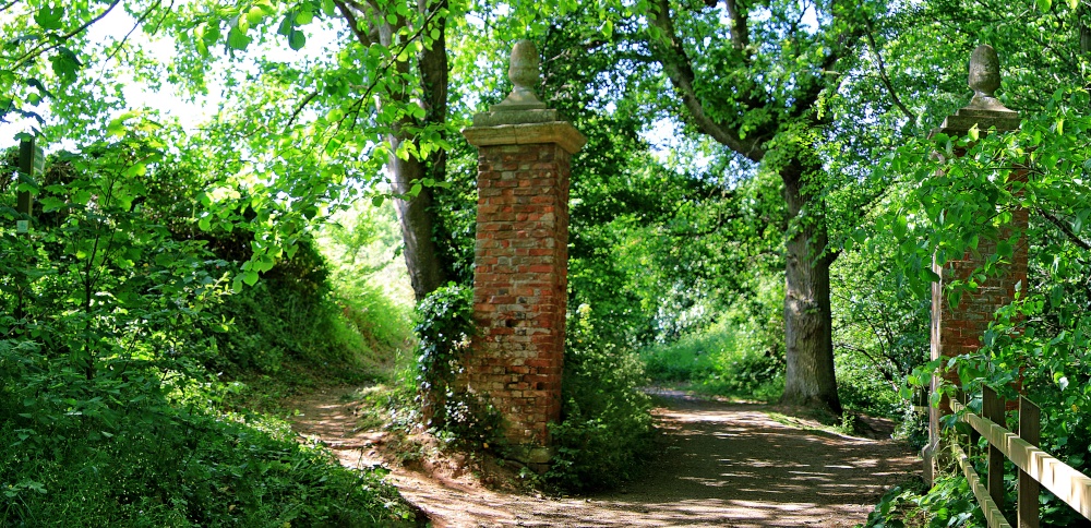 Budleigh Saltrerton - Park Lane
