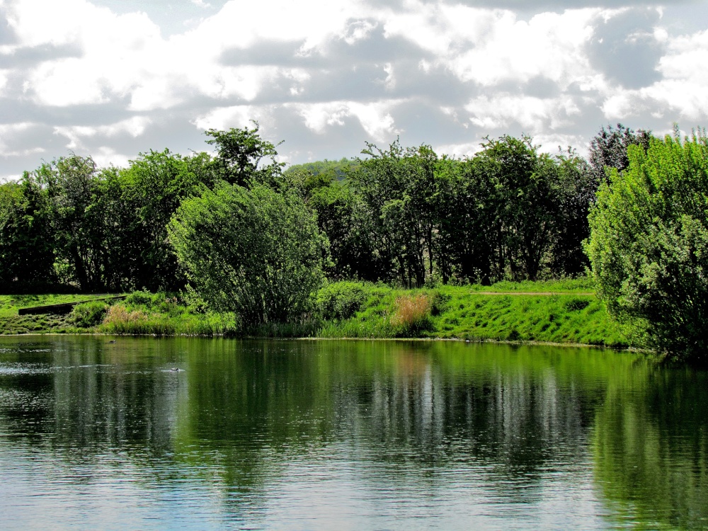 Thrybergh Country Park