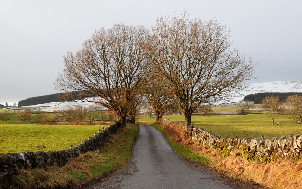 Winter Lane near Thornhill, Dumfries & Galloway