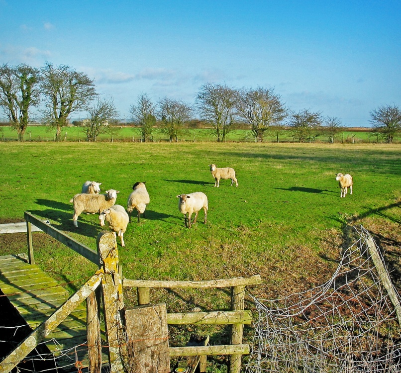The meadow behind the church