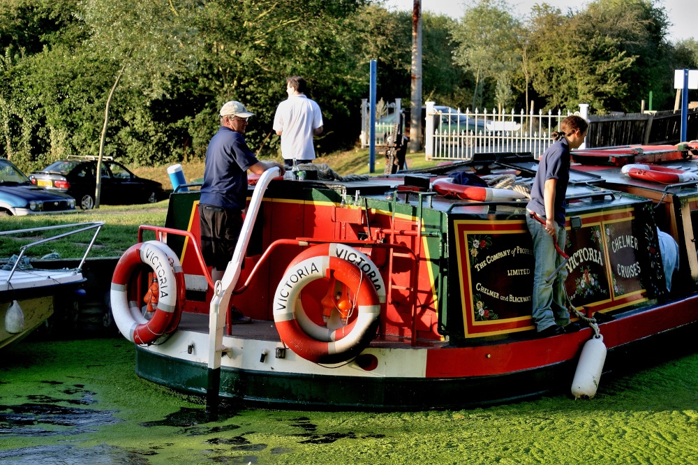Canal Boat Victoria Chemer, Canal near Chelmsford