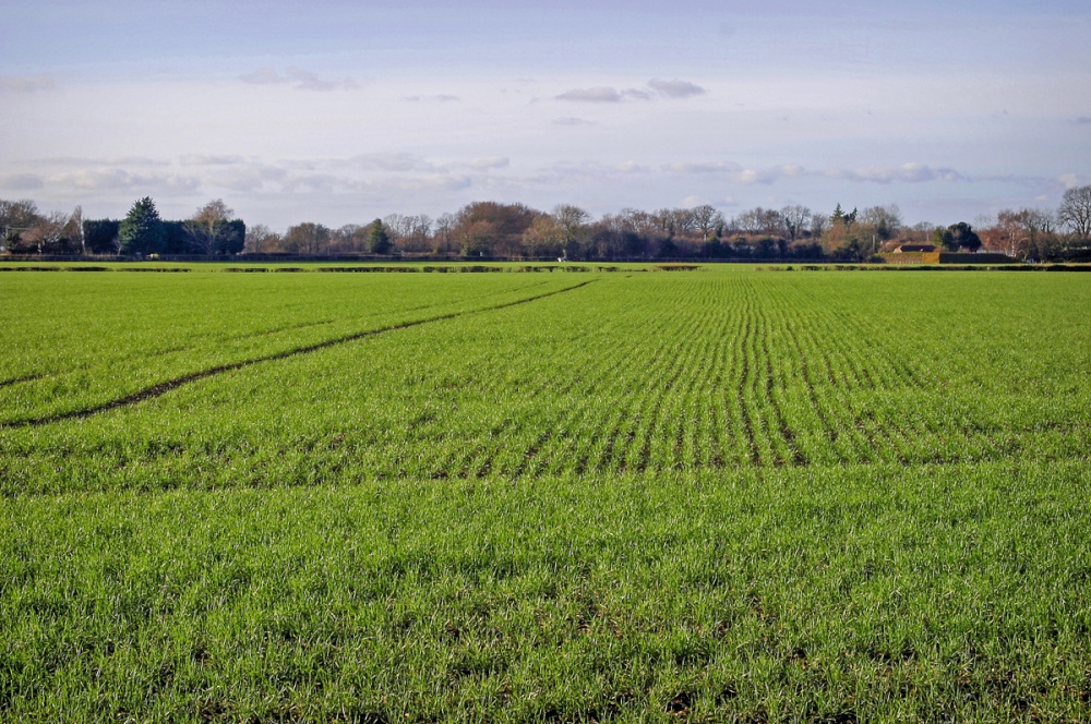 Photograph of Kentish landscape