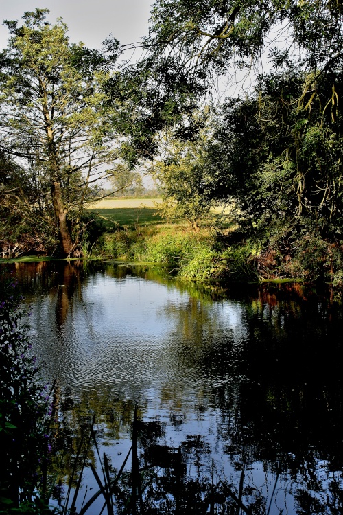 Chelmer and Blackwater Navigation Canal near Maldon Essex