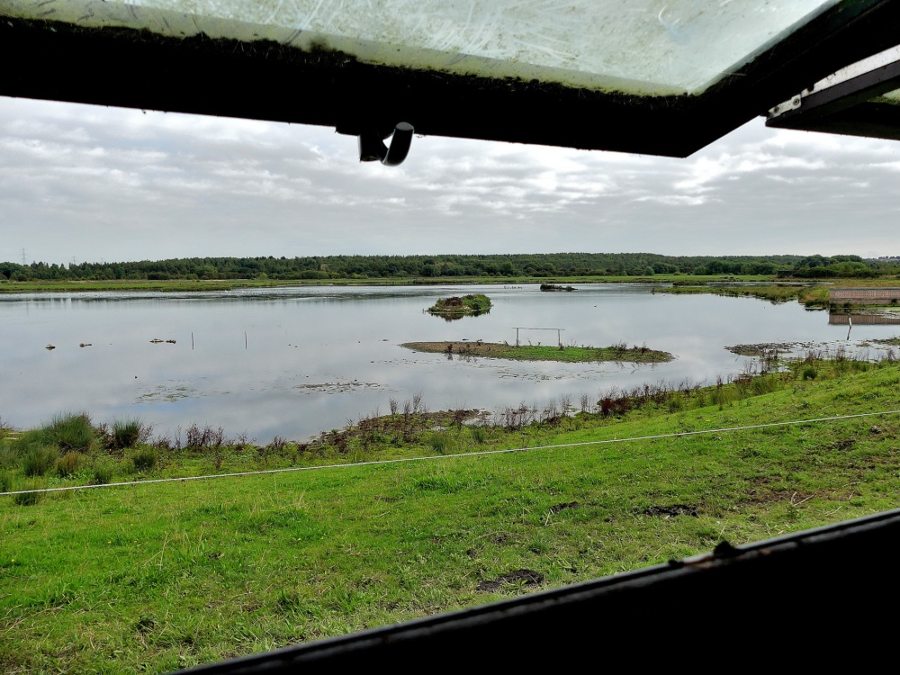 From the Family Hide RSPB Old Moor