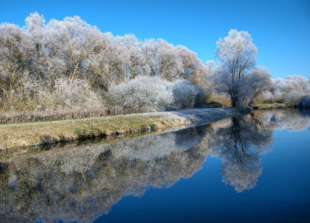 Hoar frost on River Nene, Northamptonshire.