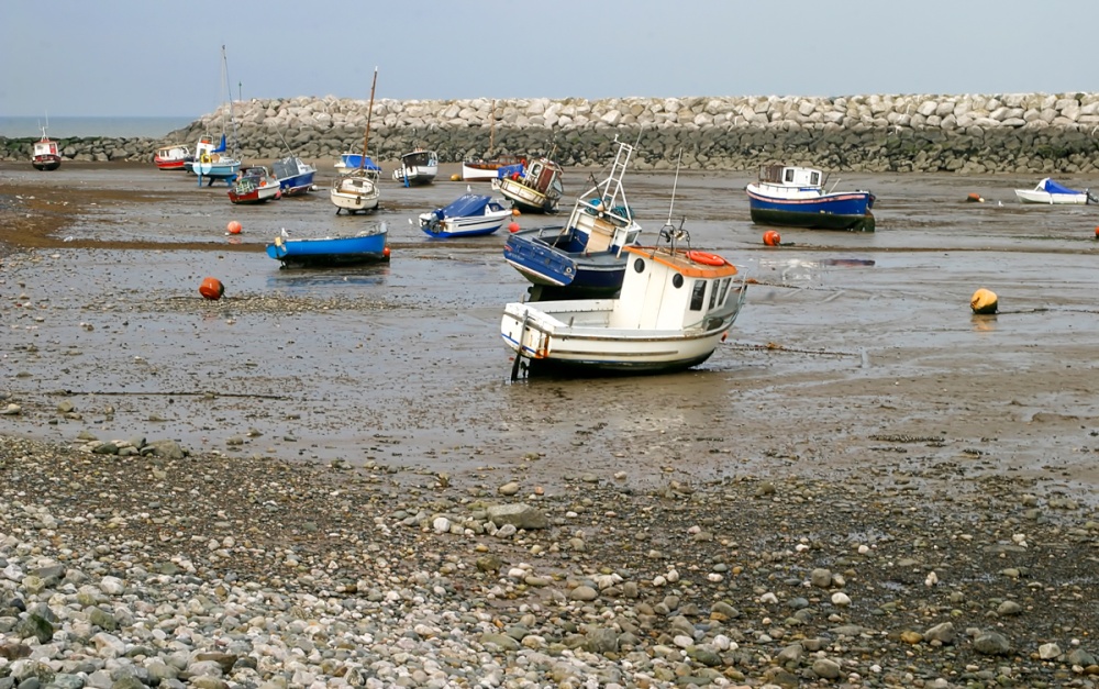 Low Tide