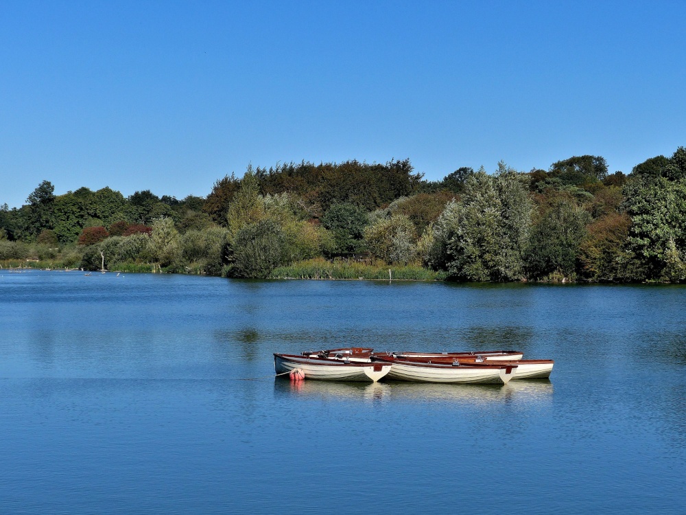 Photograph of Lake at Hatfield Forest near Takeley