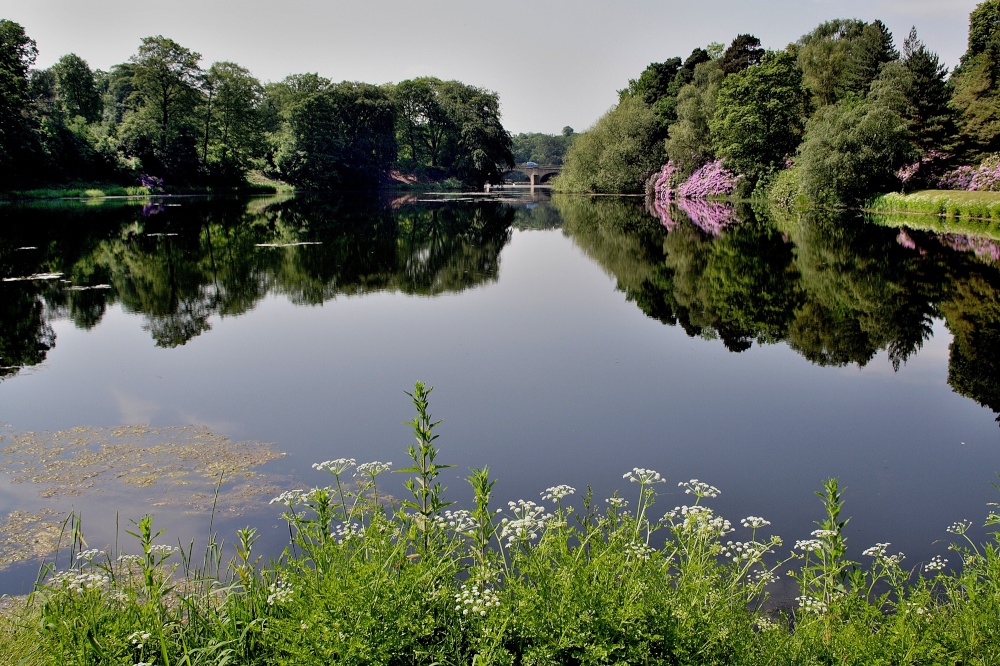 Lake at Nostell Priory, Wakefield photo by Tom Curtis