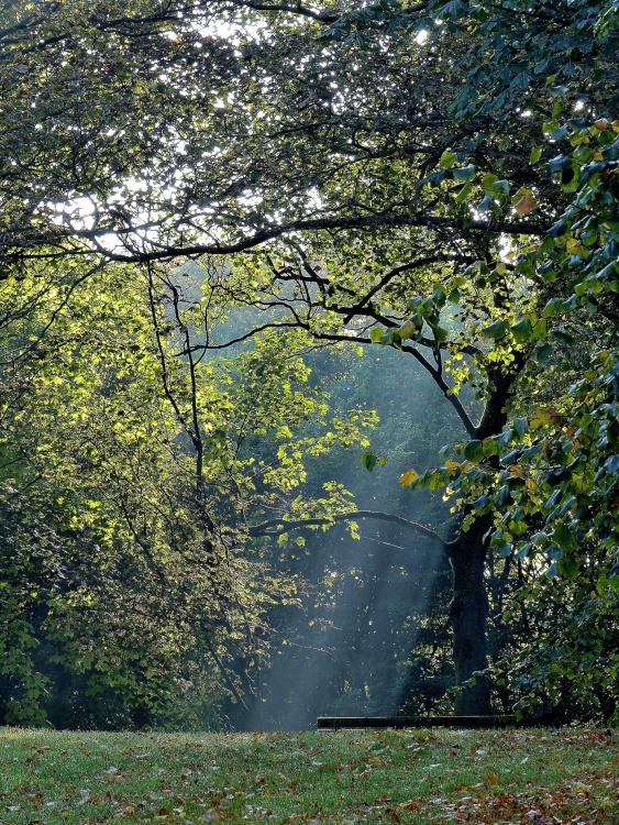 Locke Park, Barnsley