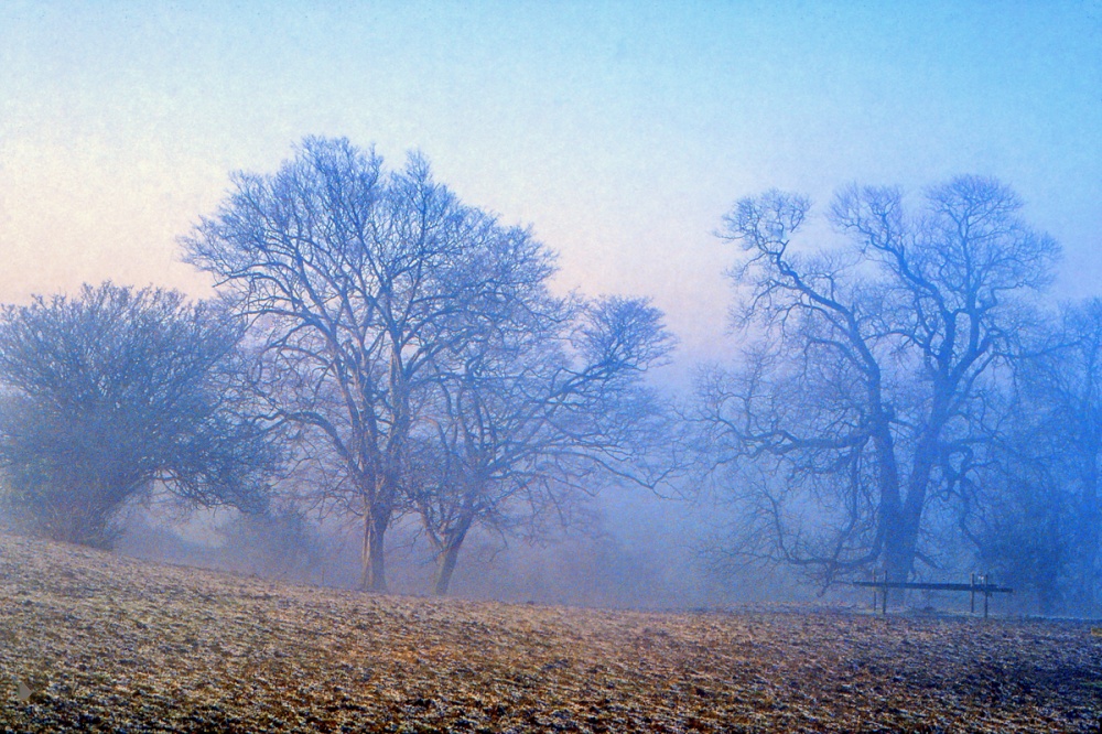 Cold misty morning near Ampthill