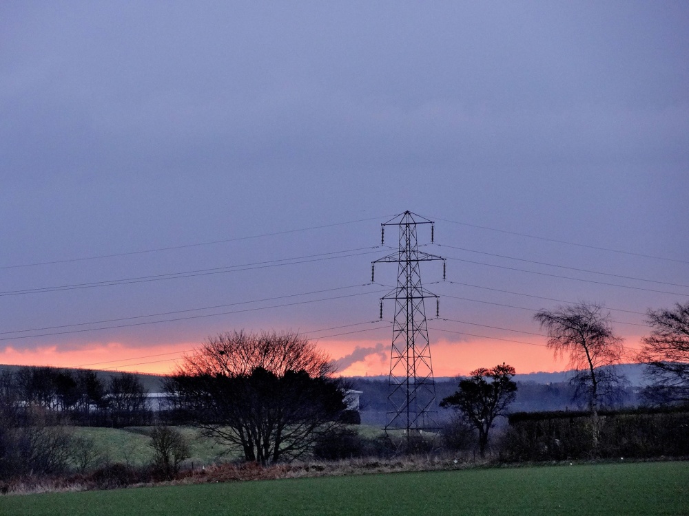Morning Glow, Cudworth Common
