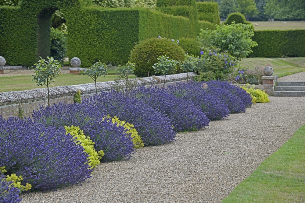 Godinton House Garden, Great Chart