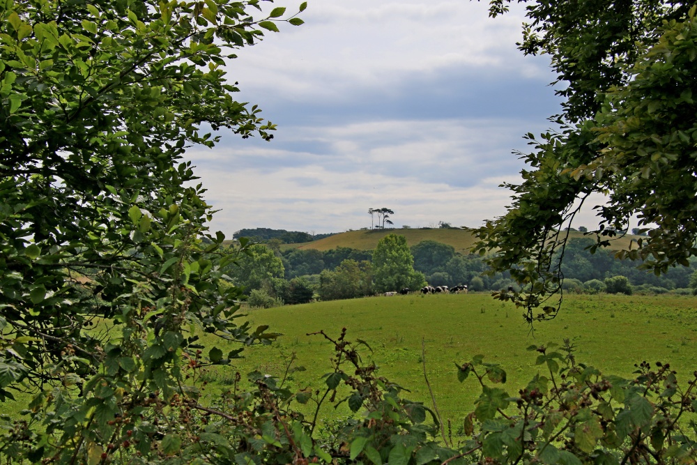 A view from East Budleigh