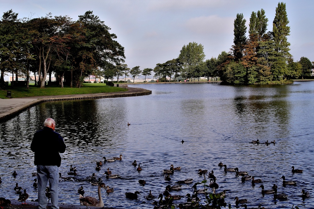 Lake at Pontefract