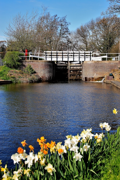 Rhodesfield Lock, Ripon