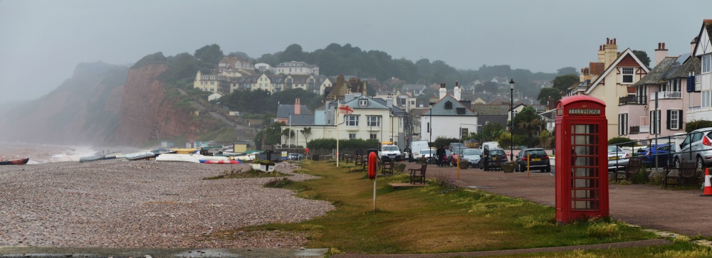 Budleigh in the wind