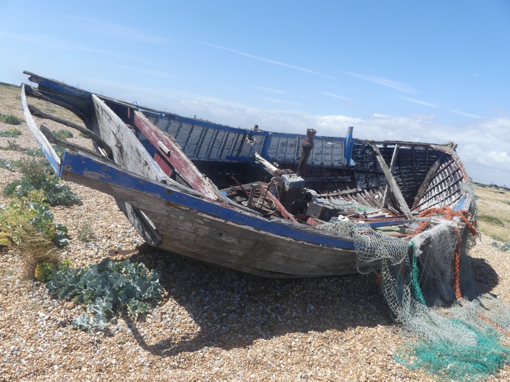 Dungeness