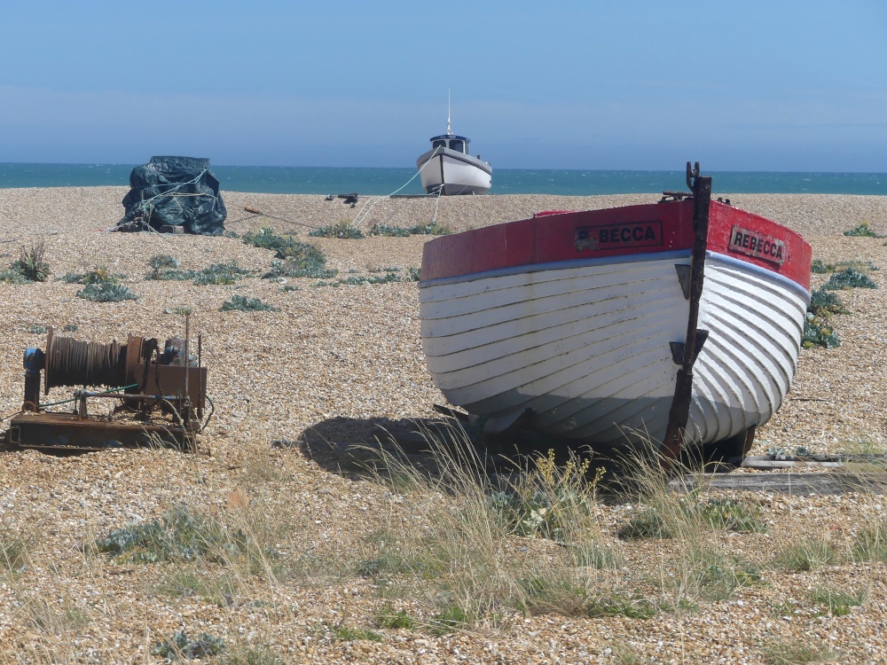 Dungeness