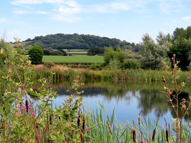 Photograph of Bruckland