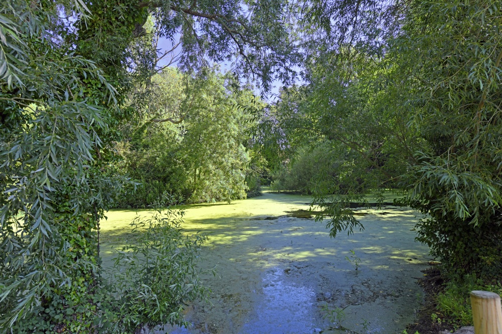 Creake Abbey lake