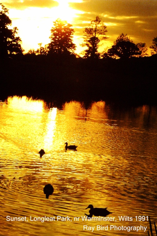 Sunset over lake, Longleat Safari Park, Wiltshire 1991