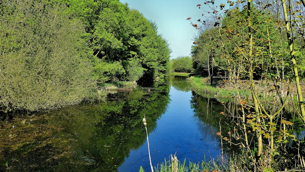 Barnsley Canal