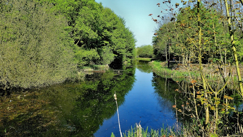 Barnsley Canal