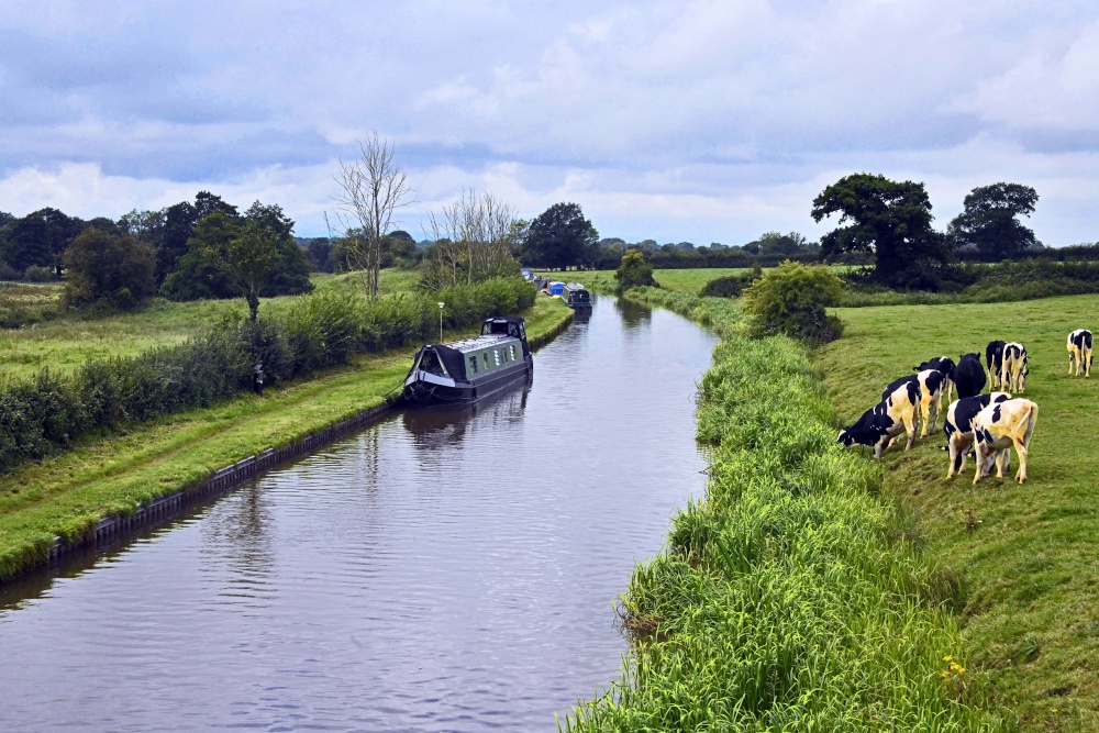 The Shropshire Union Canal at Tiverton