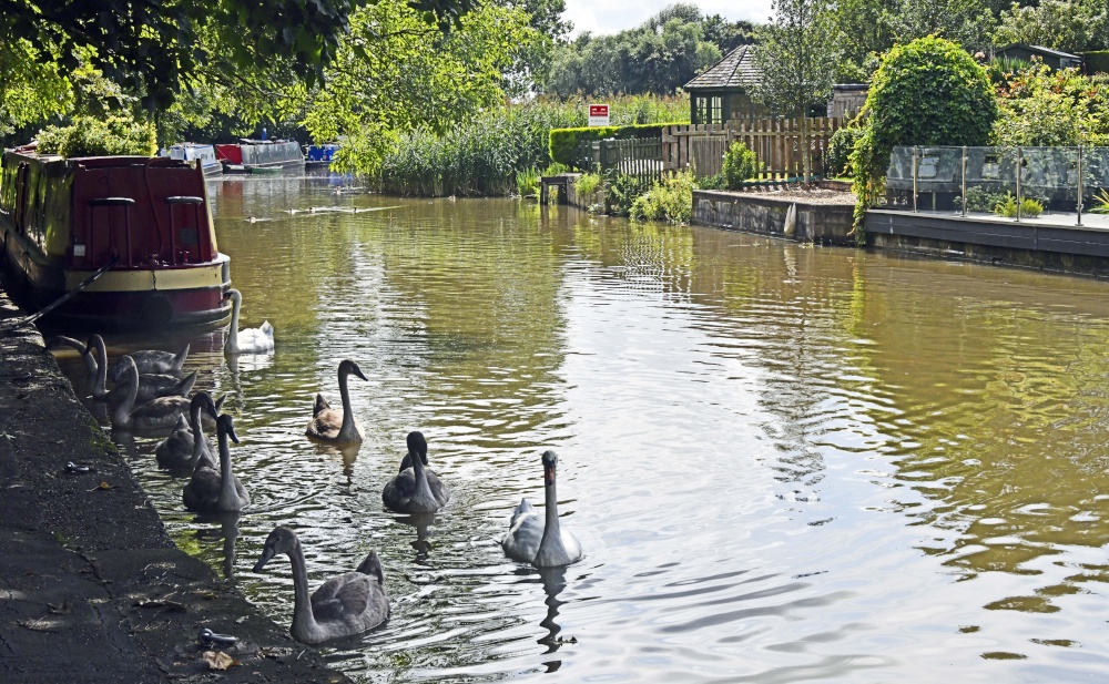 The Trent and Mersey Canal at Anderton