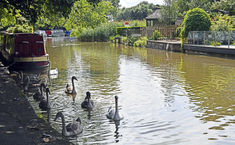 Photograph of The Trent and Mersey Canal at Anderton