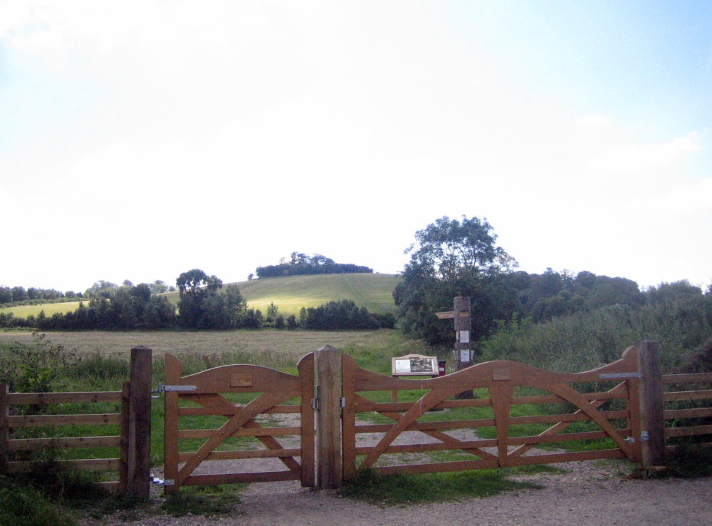Photograph of The entrance to the nature reserve at Little Wittenham with the Wittenham Clumps in the background
