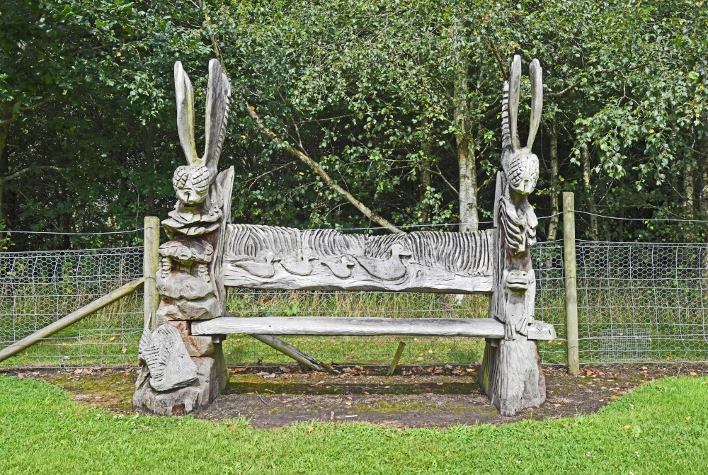 Abbeywood Gardens, Delamere