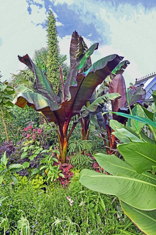 Abbeywood Gardens, Delamere