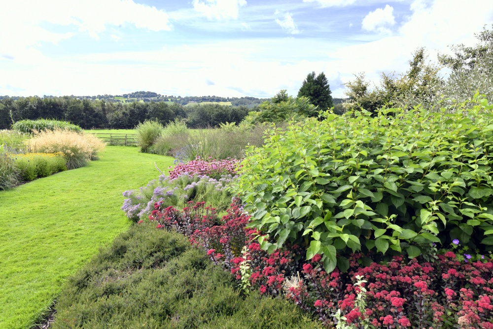 Abbeywood Gardens, Delamere