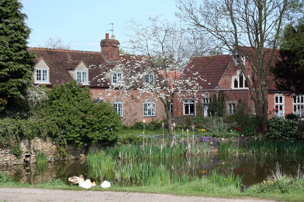 Photograph of The village pond at Marsh Baldon with the village school to the right in the background