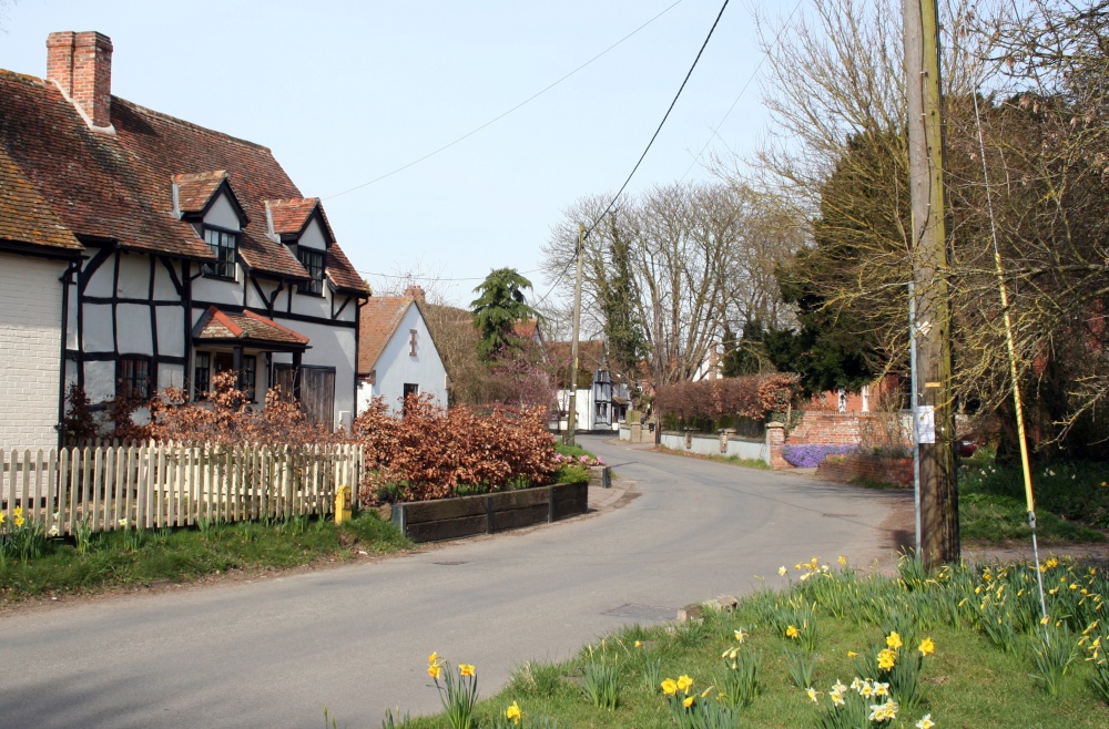 Spring time in North Moreton (2)