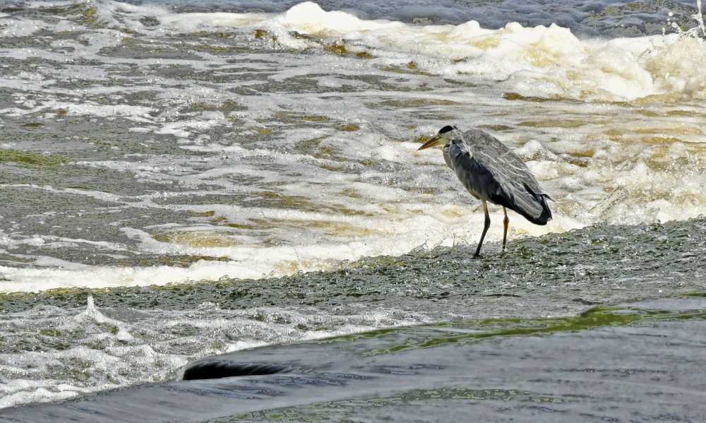 At Shibden Hall Park