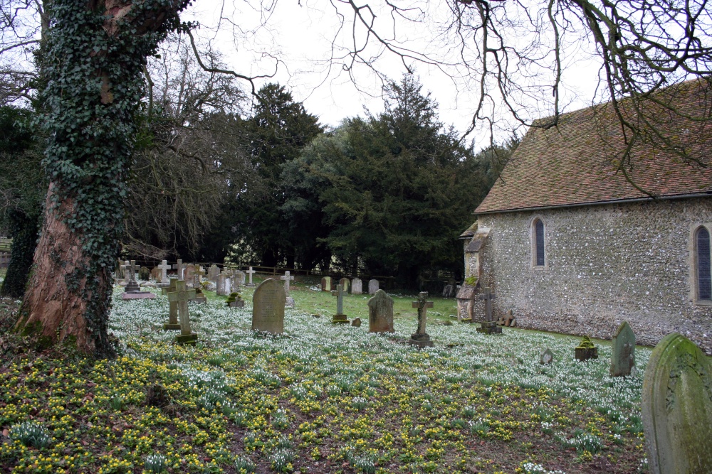 Photograph of Snowdrops and winter achonites at St Botolph's Church, Swyncombe