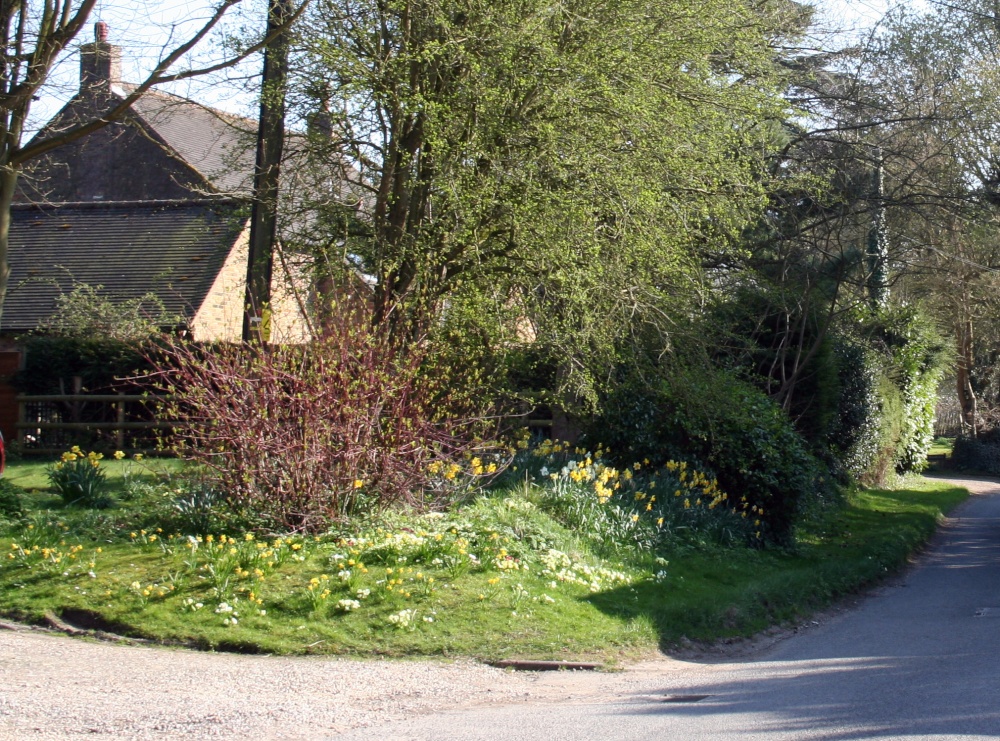 Springtime in Pyrton (1)