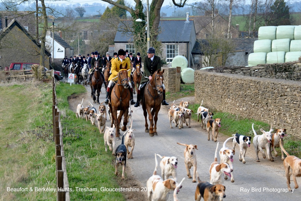 Beaufort & Berkeley Hunts, Tresham, Gloucestershire 2016