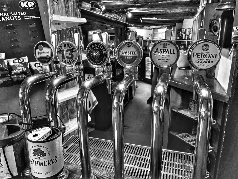 Inside B&W the fighting cock's