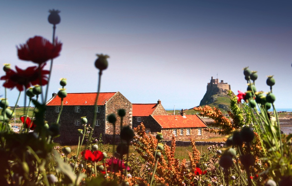 Across to the castle