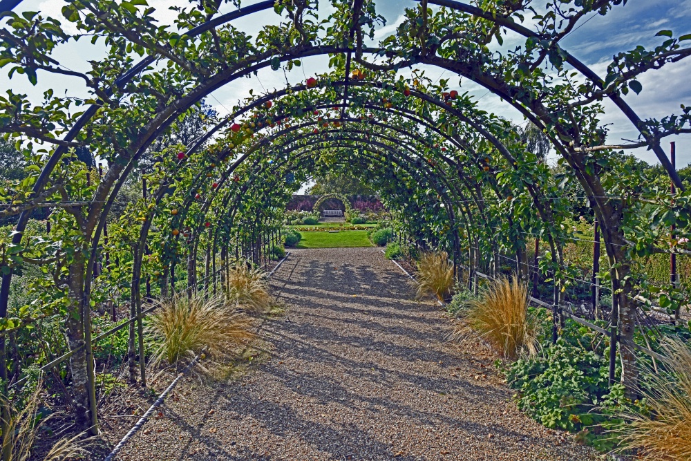 Apples at Belmont House Gardens