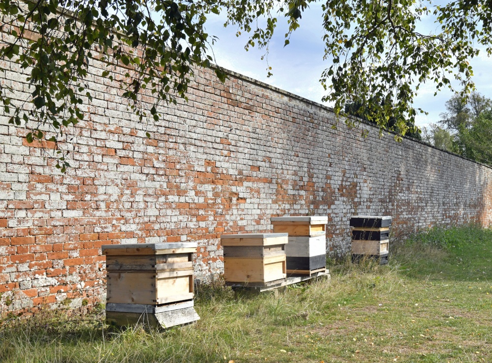 Bee hives at Belmont House Gardens