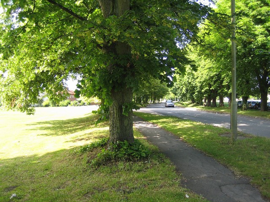 The Green, Steventon